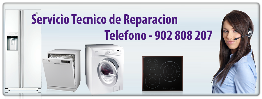 Reparacion Calderas Renova en Lleida